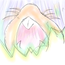 �Q�b���ڔ~